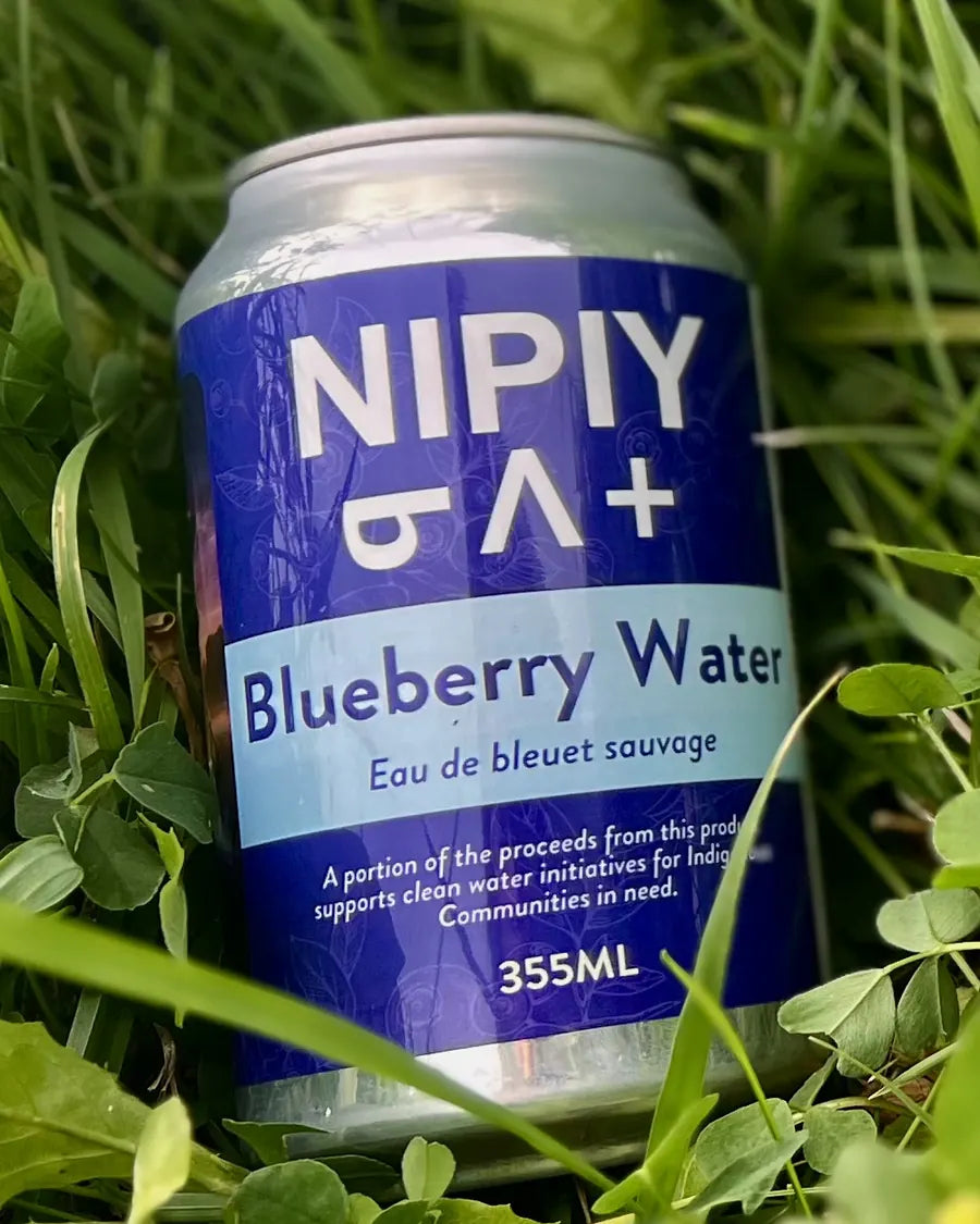 Blueberry Nipiy can resting in green grass