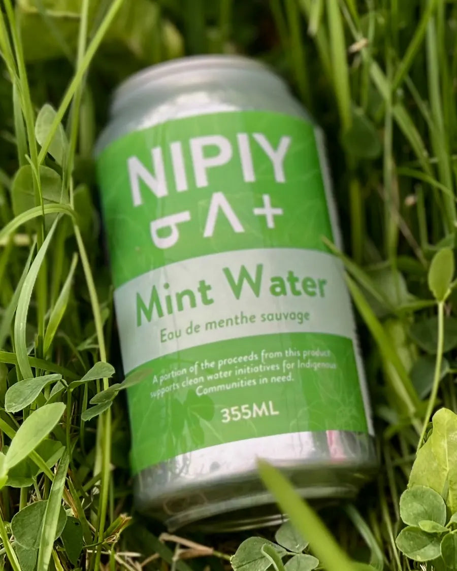 Mint Nipiy can resting in green grass
